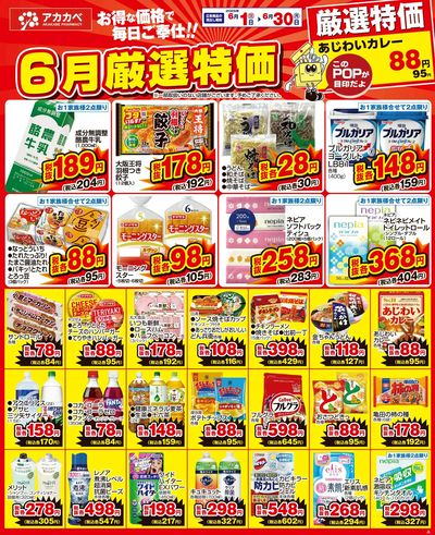 6月の厳選特価