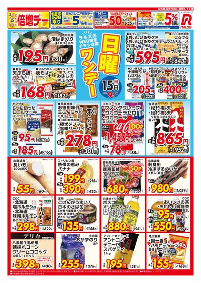 0215 Web日曜ワンデー