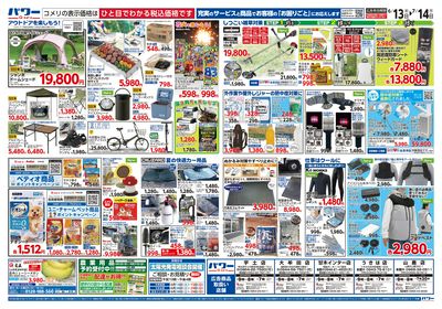 コメリパワー 6/13号 家計応援祭  ウラ