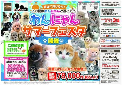 わんにゃんサマーフェスタ(トモニーM)