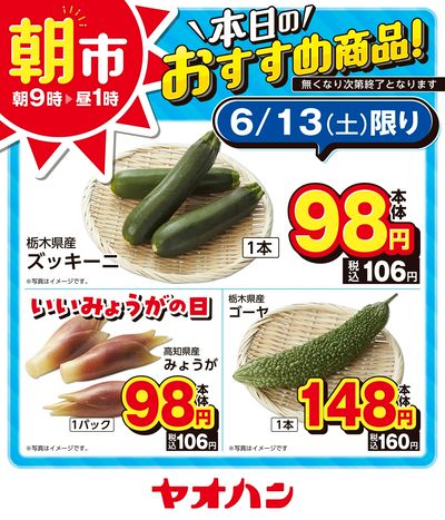 本日のおすすめ商品!
