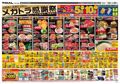 メガセンタートライアル 大府店_表