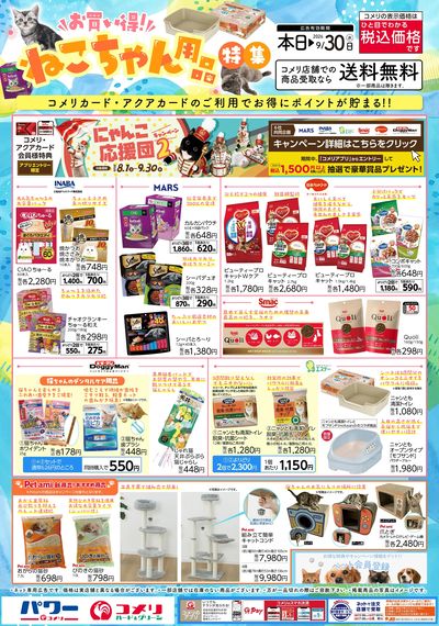 お買い得!ねこちゃん用品特集