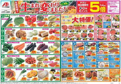6月17日開始チラシ:表