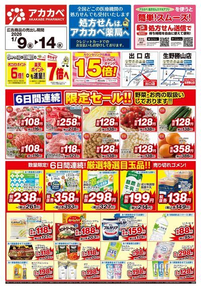 1月の店舗限定チラシ オモテ