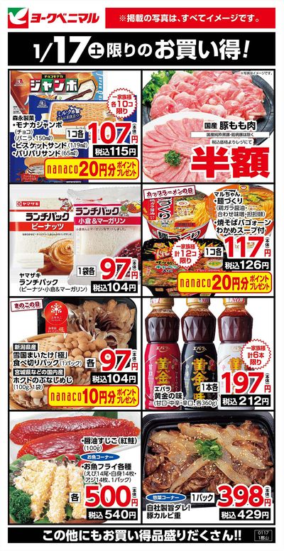 1/17限りのお買い得!