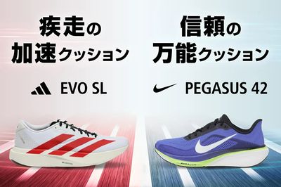 【疾走の加速クッション adidas EVO SL/信頼の万能クッション NIKE ペガサス42】