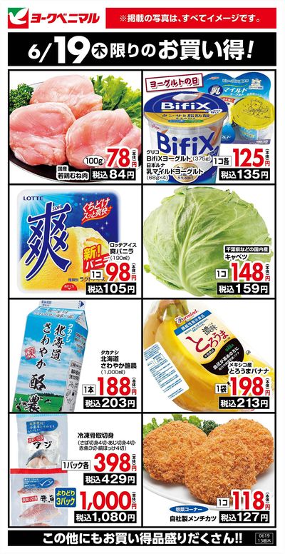 6/19限りのお買い得!