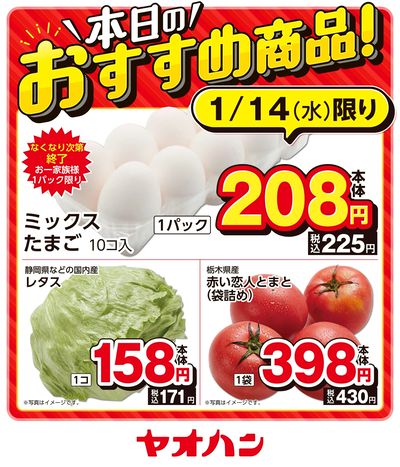 本日のおすすめ商品!