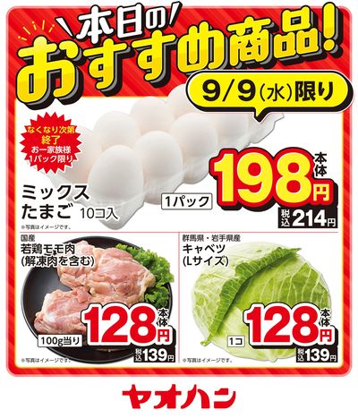 本日のおすすめ商品!