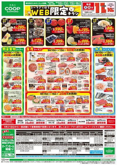 9/10号 WEB限定チラシ