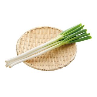 国内産 白葱 1束
