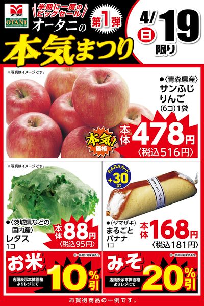 本日の日替わり商品はこちら!