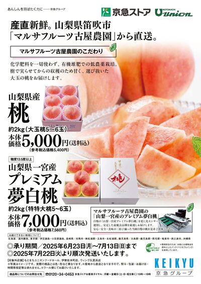 産直新鮮。桃ギフト承り中
