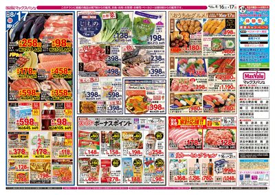 8/16号 カメさんデー:ウラ