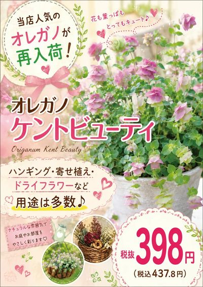 ムサシ須坂店おススメ情報!