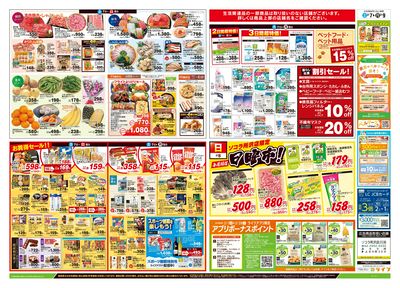 2/7号 総力祭/柑橘集めました