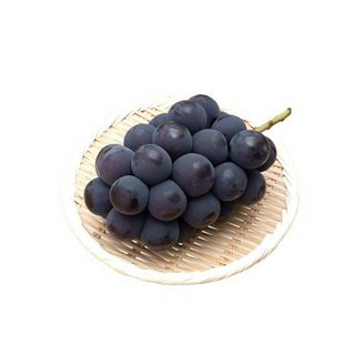 山梨県産他種なし巨峰ぶどう