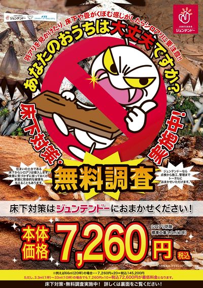 シロアリ対策