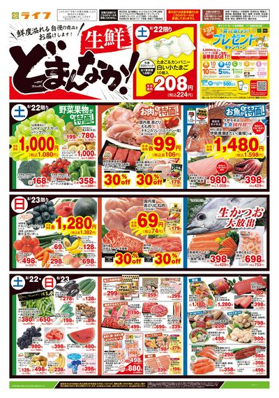 8/22号 生鮮どまんなか!