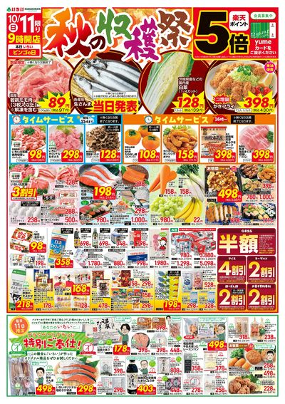 10/11号 表面