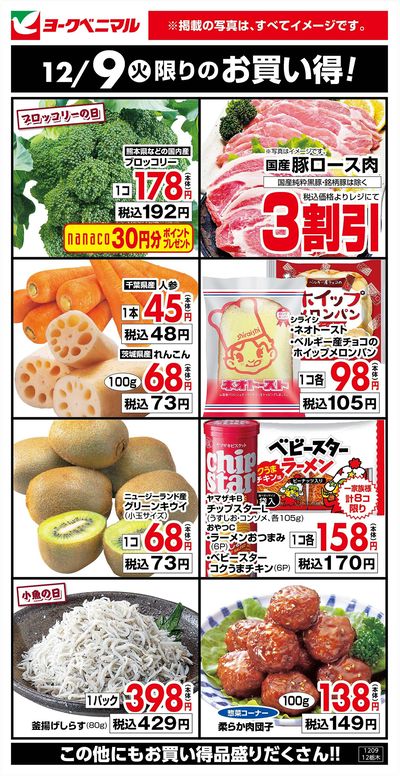 12/9限りのお買い得!