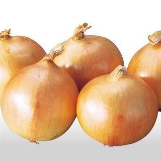 玉ねぎ