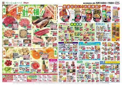0514号-茨城裏