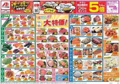 6月17日開始チラシ:表