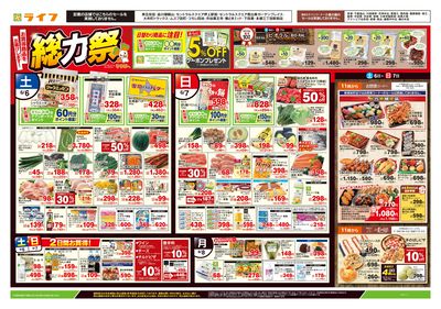 6/6号 総力祭/梅集めました