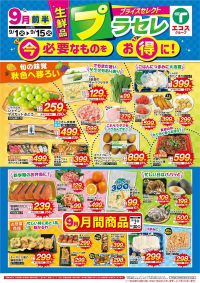 9月前半 プラセレ