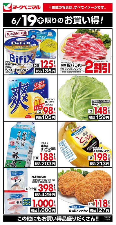 6/19限りのお買い得!