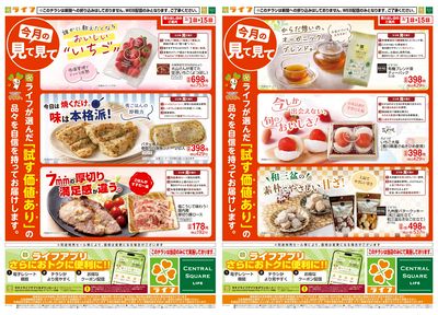 今月の見て見て