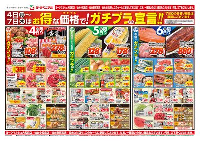 8/4号 オモテ