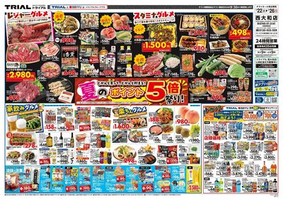 メガセンタートライアル 西大和店_表