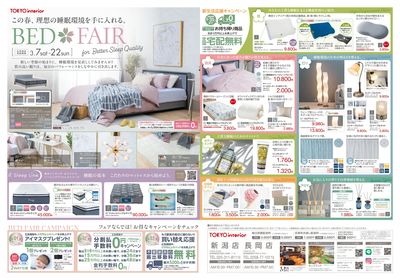 3/7号 ベッドフェア 表面