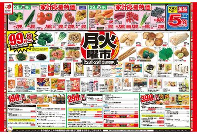 9/28号 月火曜市