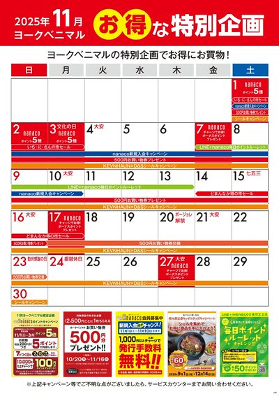 11月のお得な特別企画