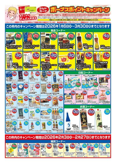 マルトカード ボーナスポイントキャンペーン(裏)