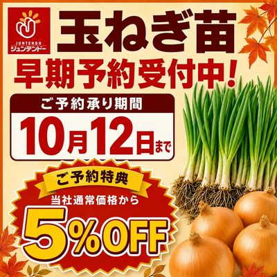 たまねぎ苗早期予約