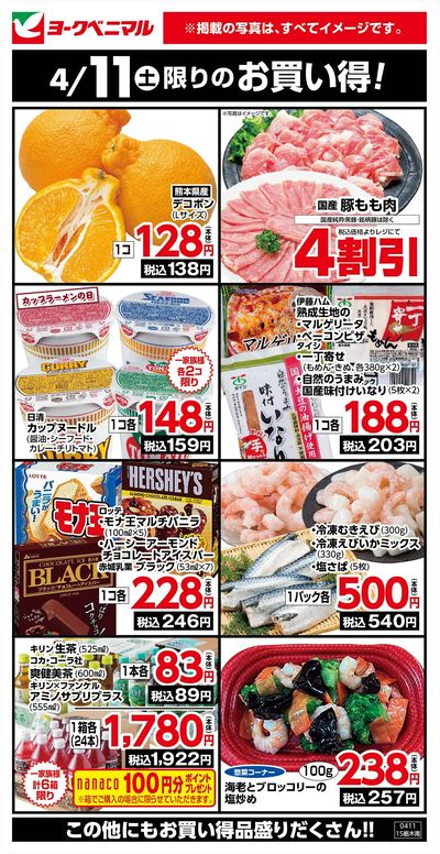 4/11限りのお買い得!