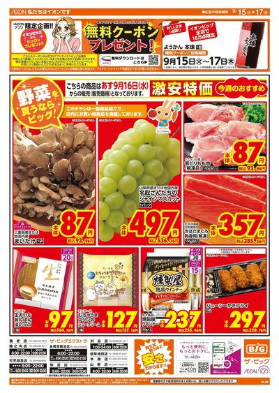 9/15週中チラシ(オモテ)