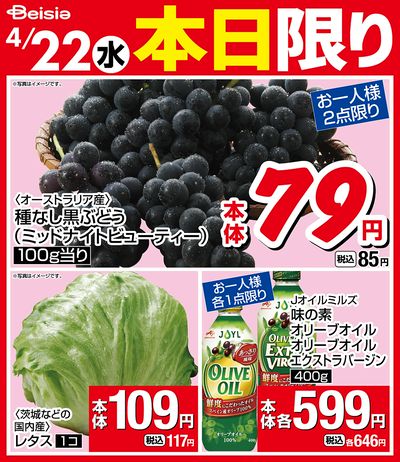 4/22限りのお買い得!