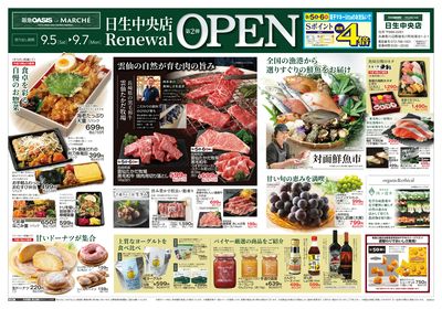 0905号日生中央OP②オモテ