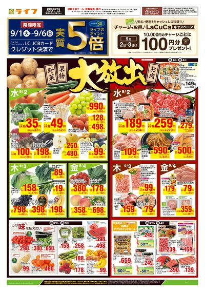 9/2号 野菜果物・お肉大放出