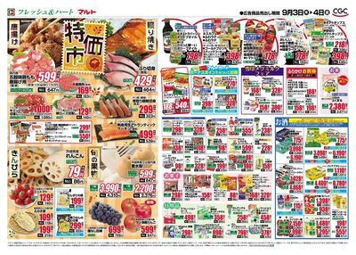 0903号-茨城裏