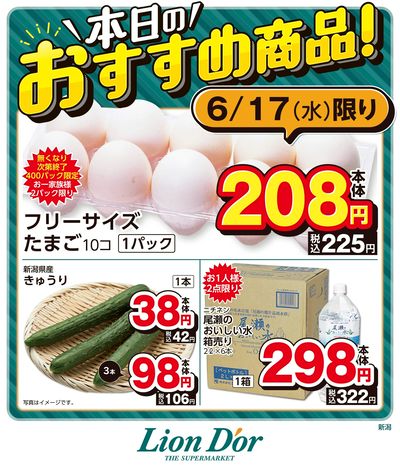 本日限りの日替わり商品!新潟県
