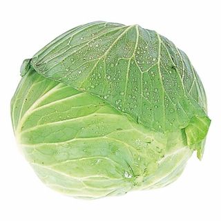 九州各産地 キャベツ 1玉