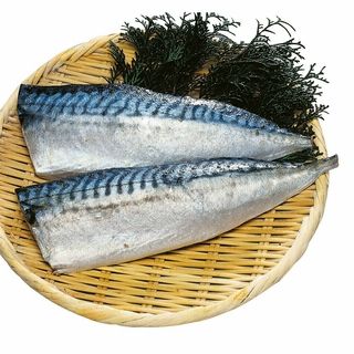 大サイズ 国内産 塩サバフィーレ 2枚入