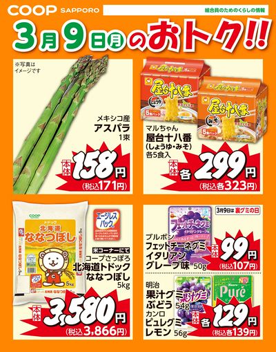 3月9日お買得品